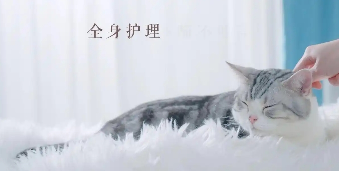 微信截图_20250331172851.jpg